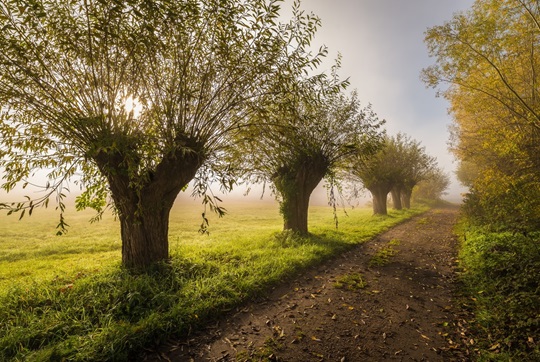 Slow travel - dicht bij de natuur in Oost-Polen