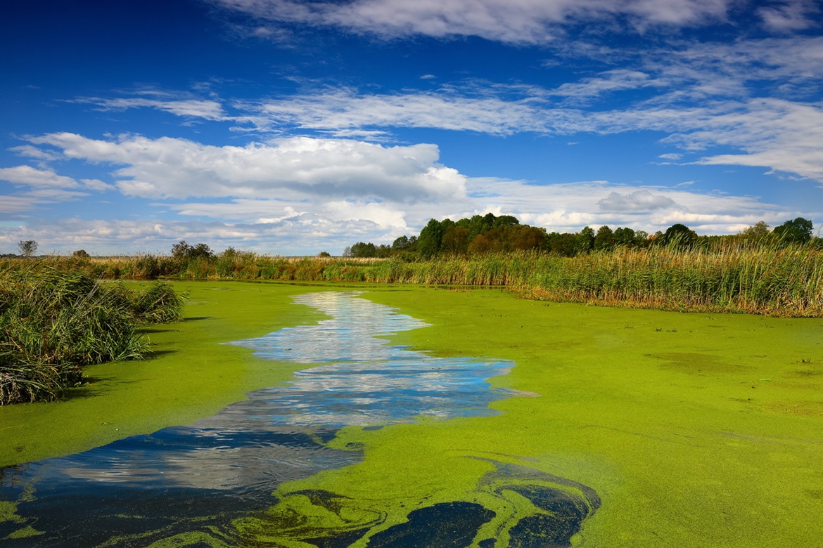 Podlasie_Narew-xl.jpg